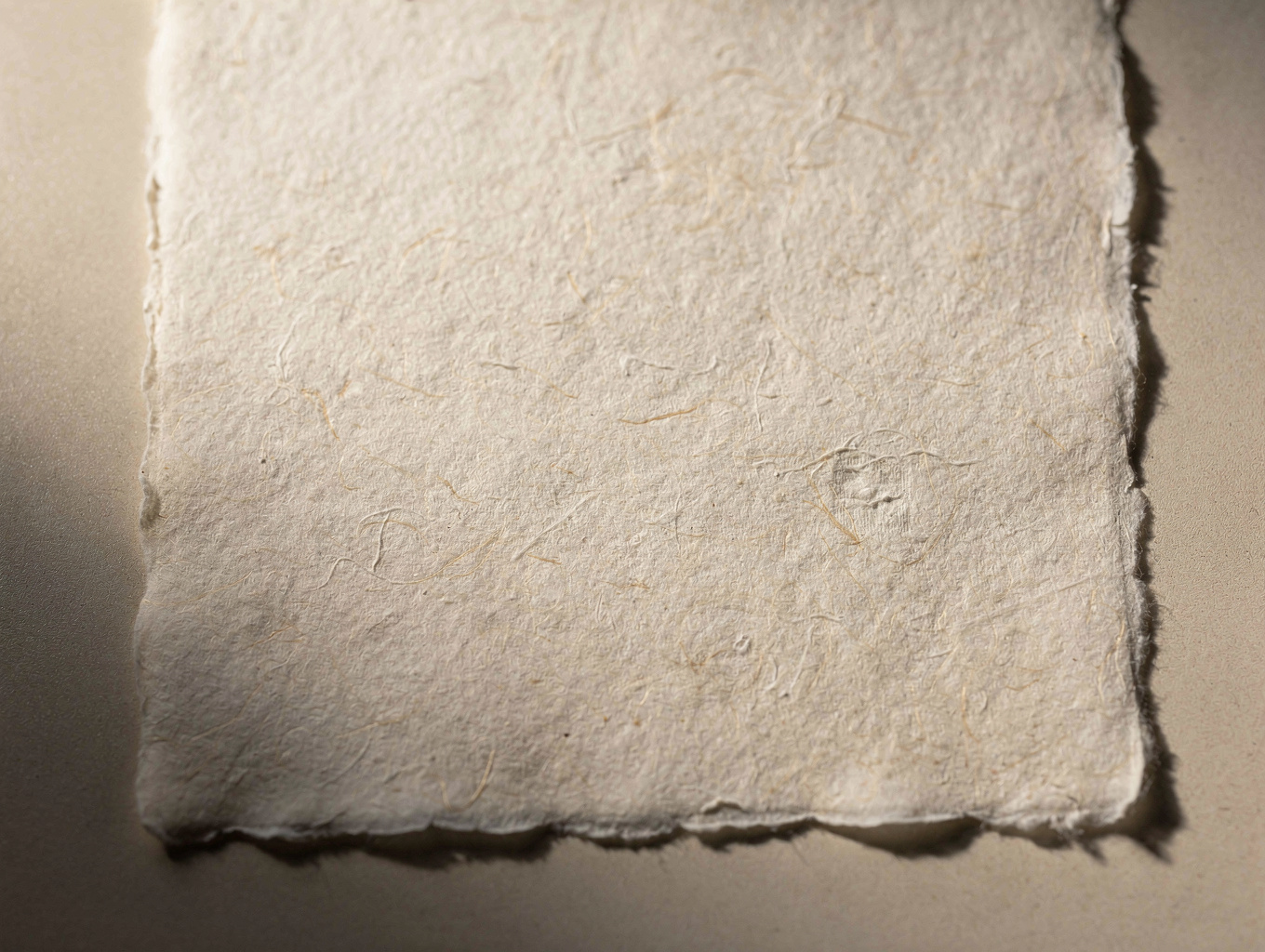 Macro textured cotton rag archival paper with deckled edges under soft studio light